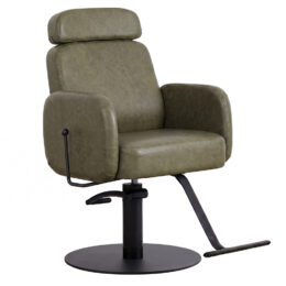 Winnie Sage Green Reclining Salon Chair